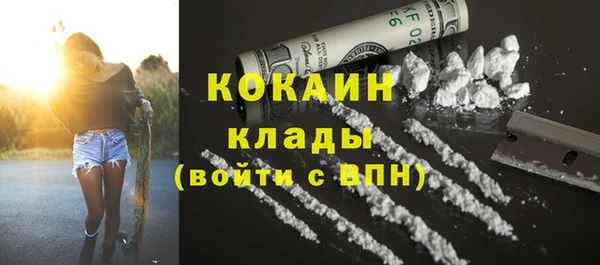 кокс Алексин