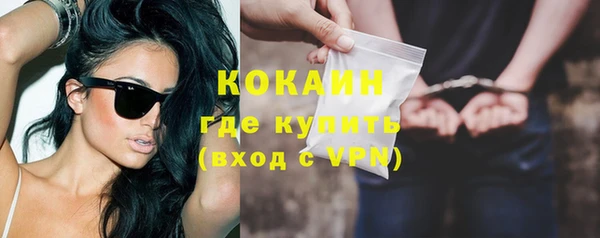 кокс Алексин