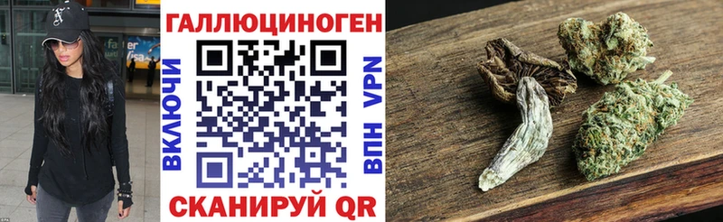 Галлюциногенные грибы Psilocybe Зверево